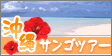 沖縄サンゴツアー