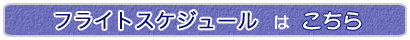 �ե饤�ȥ������塼��Ϥ�����