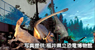 福井県立恐竜博物館（福井）