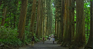 戸隠神社（長野） 